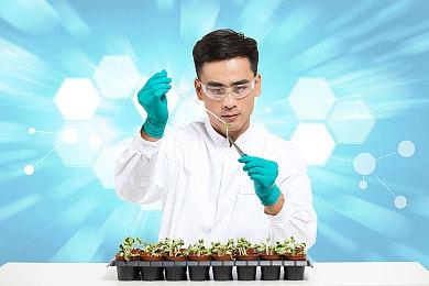 《碧海黑帆》地图是英灵殿6倍大 没有神话和历史人物